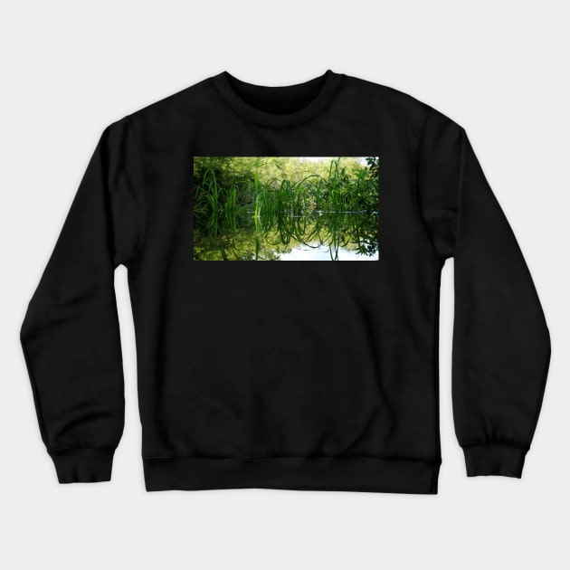 Grass Reflecting in the Water Crewneck Sweatshirt by 1Redbublppasswo